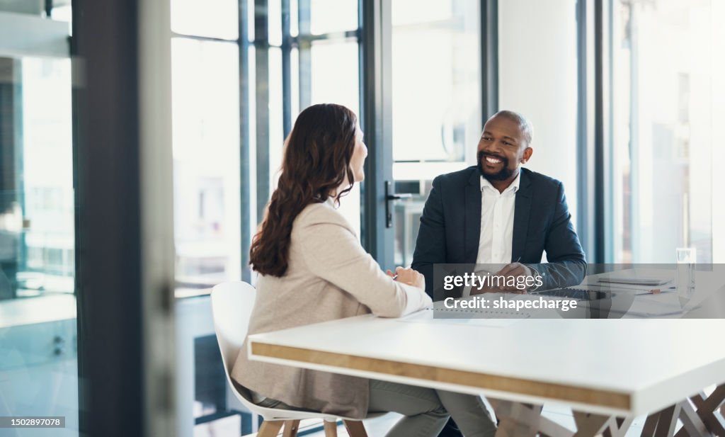 Professional business consultation meeting